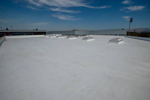 Best Storm Damage Roof Repair  in Warrington, FL