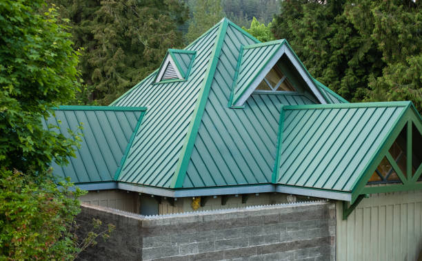 Best Roof Maintenance and Cleaning  in Warrington, FL