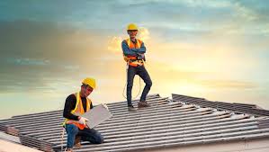Best Roof Moss and Algae Removal  in Warrington, FL